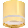 Накладной потолочный светильник IEK Lighting 4016 под лампу gx53 золото LT-UPB0-4016-GX53-1-K22